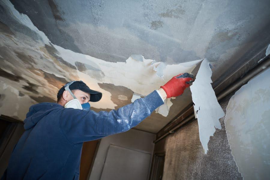 When Should You Hire Professional Restoration Services